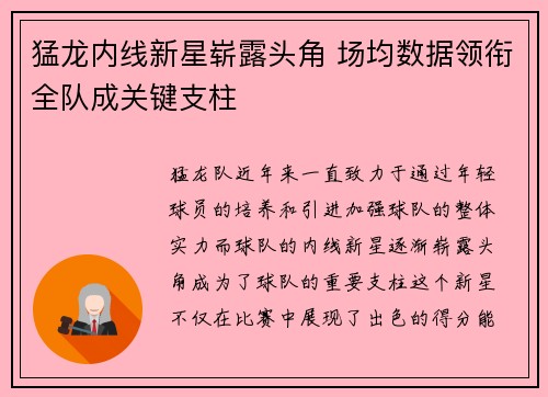 猛龙内线新星崭露头角 场均数据领衔全队成关键支柱